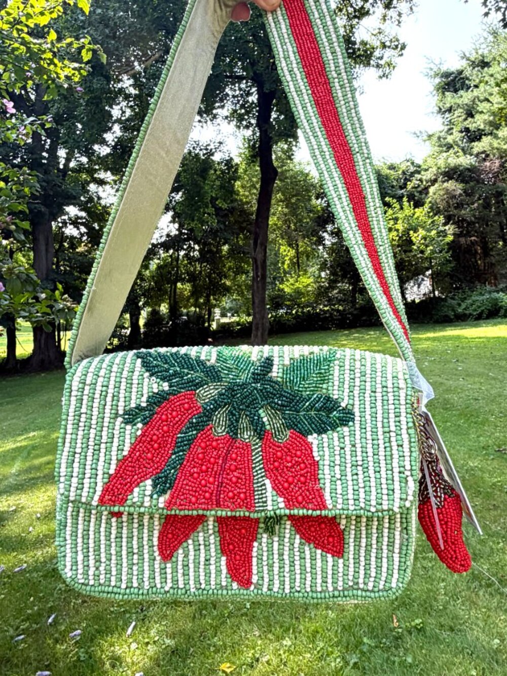 NWT Striped Viral Beaded Bag Chili Pepper Red & Green